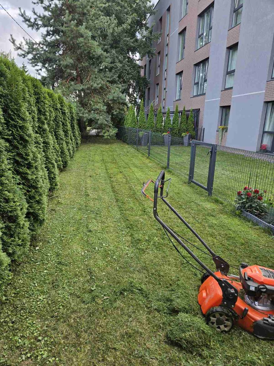 Žolės pjovimas daugiabučio kieme Vilniuje